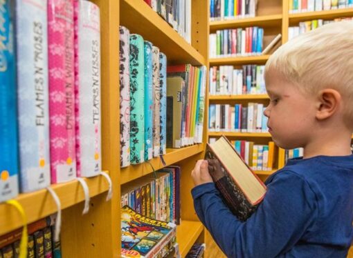 Recognizing Three Elements of True Learning