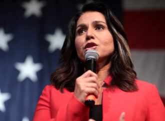 Tulsi Gabbard’s Persistence is Nevertheless Annoying Her Party