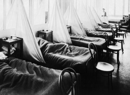 The Last Great Pandemic