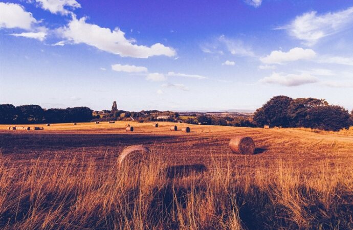 Reviving the Small Farms of America’s Past