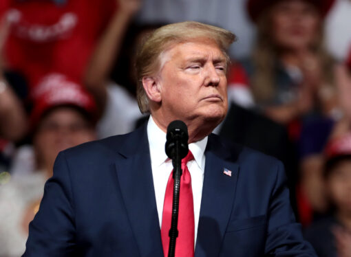 With Bernie, Trump May Regret What He Started