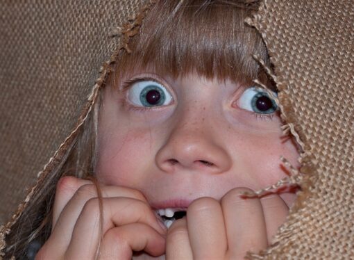 Scaring Ourselves to Death