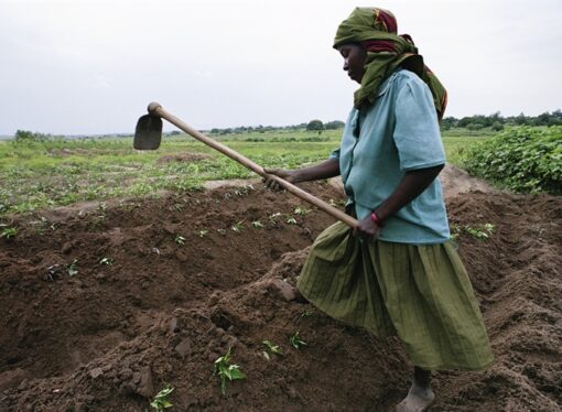 The West’s Eco-imperialism Against Africa