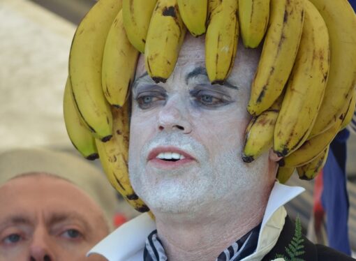 Yes, We Have Bananas… in All Shapes and Sizes
