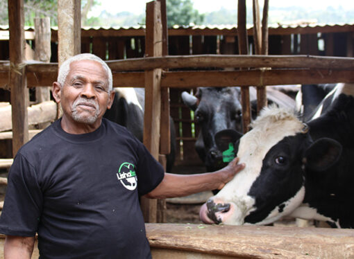 Why Farmers Are Dumping Milk and Letting Produce Rot