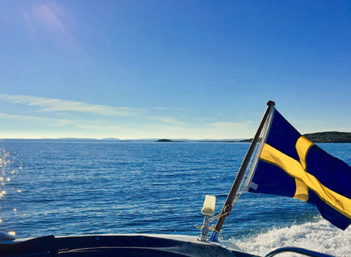WHO Declares Sweden’s COVID Response a Model for the World