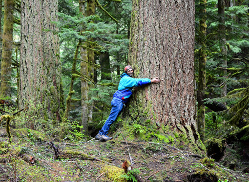 The Environmentalist’s Dream Came True With COVID