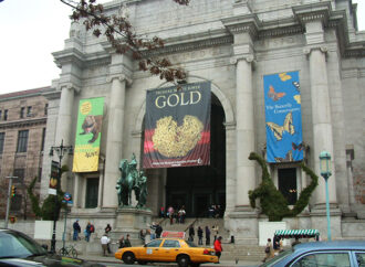 Abolishing Museums Springs From Progressive Education