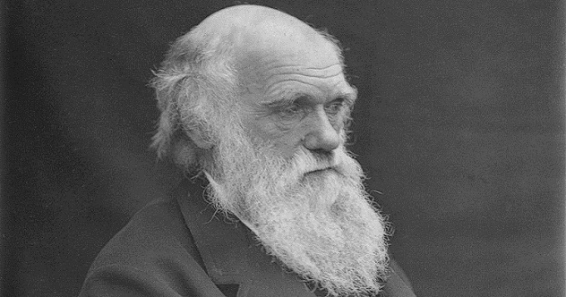 Was Darwin Wrong?