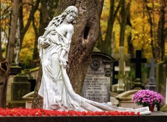 Garden or Graveyard: What Will Be Our Legacy?