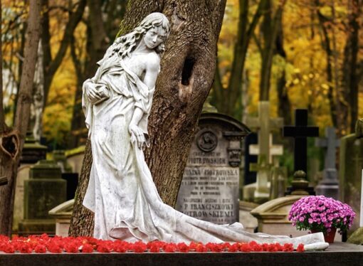 Garden or Graveyard: What Will Be Our Legacy?