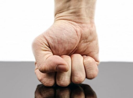 The Iron Fist in the Velvet Glove