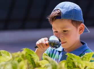 Six Everyday Ways to Raise Intellectually Curious Children