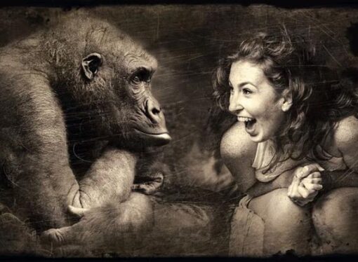 Humans Are Better Than Animals