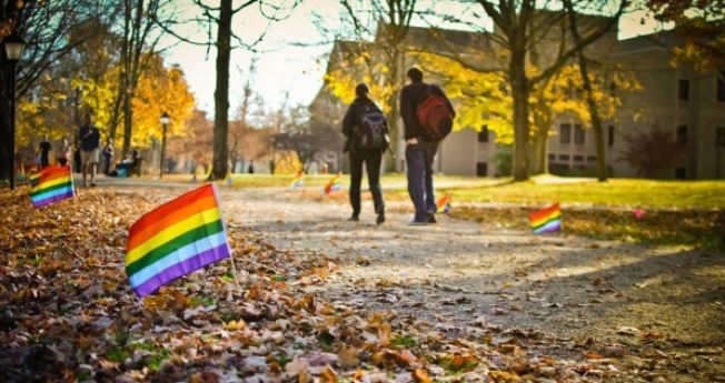 Harvard Law Prof: Colleges have become ‘propaganda vehicles’