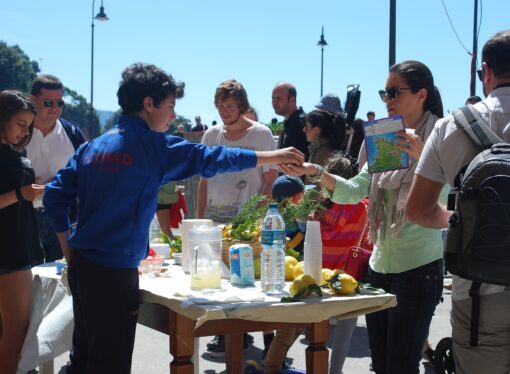 How to Turn a Lemonade Stand Into a Multi-Million Dollar Operation