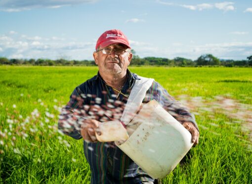 Farming Isn’t an Information Age Skill