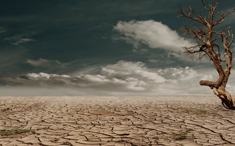 If Global Warming Is Killing Us, Why Is Global Life Expectancy Increasing?