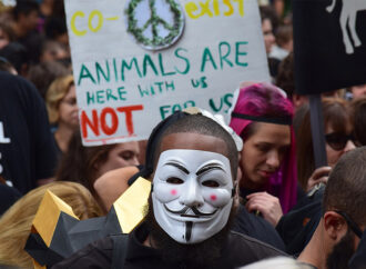 The Dingbat Craziness of the Latest PETA Proclamation