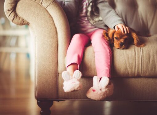 Why It’s Good That ‘Reading Is Going to the Dogs’