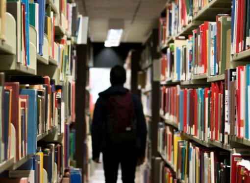 Trouble in Paradise: Radicalizing Our Libraries