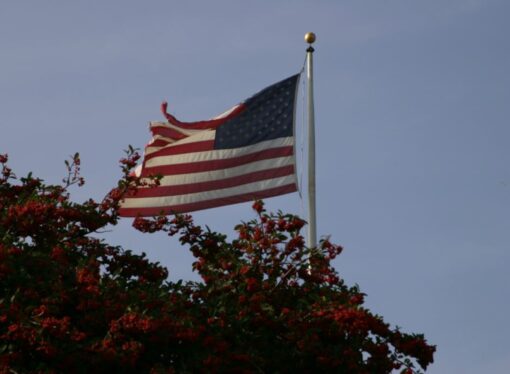 Is ‘Our Democracy’ Failing Our Country?