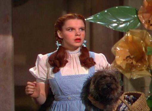 Toto Pulls Back the Curtain on Today’s Wizards