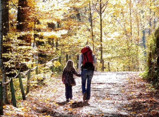 Parents are 100 Percent Qualified to Homeschool Their Children
