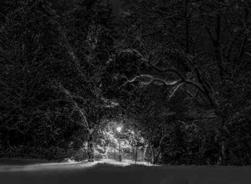 Making the Most Out of Our Winter of Discontent