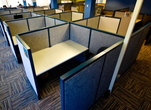 Has Capitalism Created a Wasteful Excess of Managers?