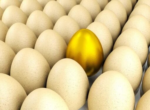 Five-Dollar Eggs and the Gift of Productivity