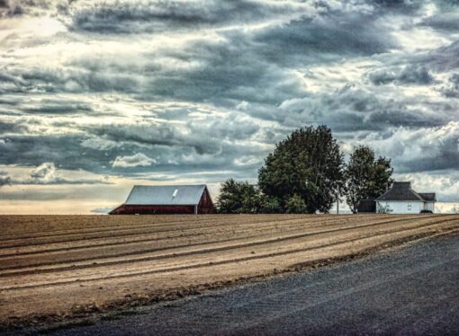 Reasons for Rural Rejoicing