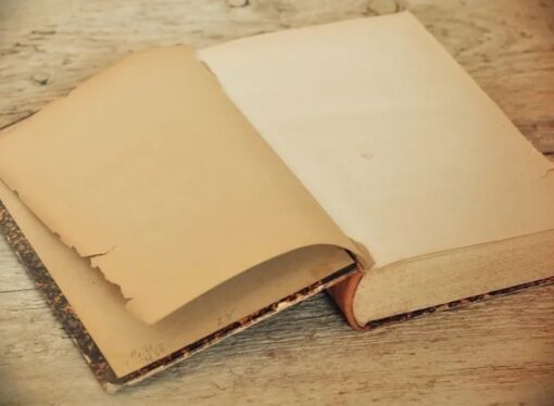 Verbicide: The Language of Politics and the Politics of Language
