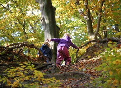 Two Moms Create a Forest School and Reach Thousands