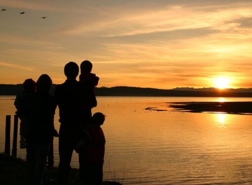 Families: Islands of Sanity in an Ocean of Crazy