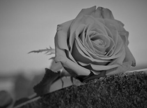 Headstone Dedicated to 110 Aborted Babies Who Were Found in a Medical Waste Box
