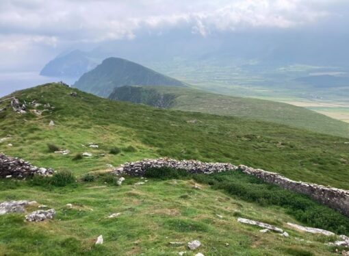 ‘Close to the Earth’: What America Can Learn From Irish Culture