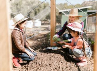 A Rural, Waldorf Microschool Gets Shut Down By State Regulators