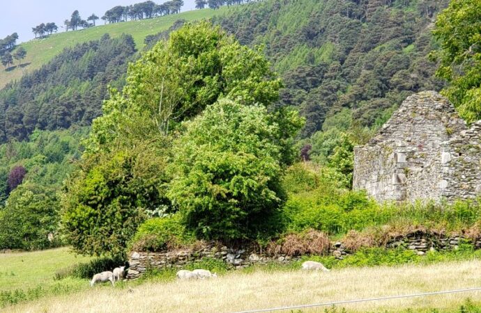 Family Farms and Faith: Lessons From Irish Culture