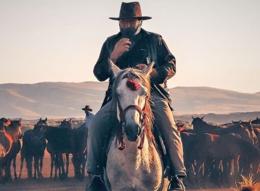 Not So Wild West