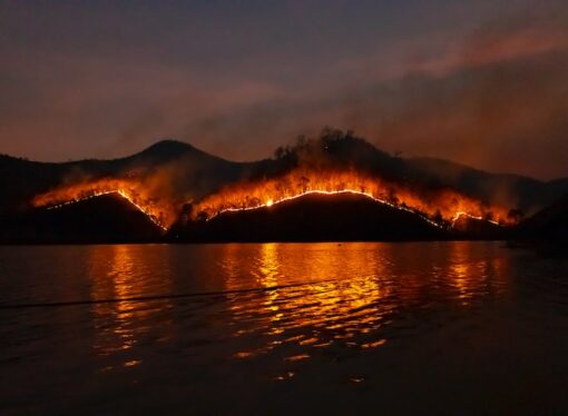 Wokeness, Not Climate Change, Is to Blame in Maui