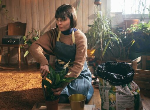 20 Historical Hobbies for $20 or Less
