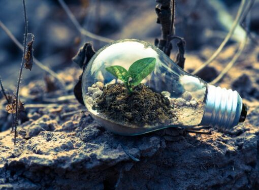 The Incandescent Ban and the Lie of LED Efficiency