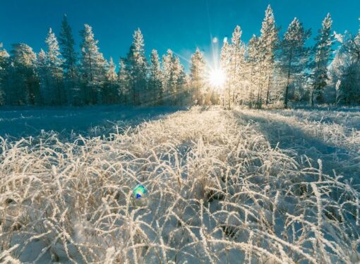 Some Sunshine in This Early Winter: Good News Near and Far