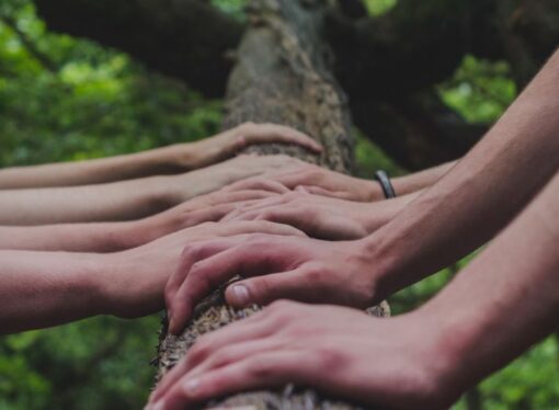 The Miracles of Human Cooperation Are Hidden in Plain Sight