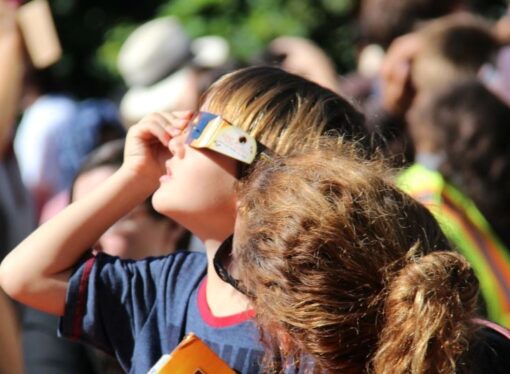 Safetyism Eclipses Common Sense
