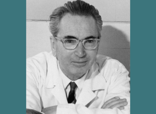 Holocaust Survivor Viktor Frankl on Collective Guilt
