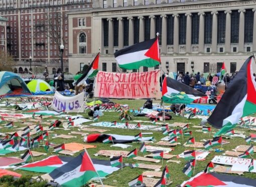 What to Do (and What Not to Do) About the Pro-Palestine College Protests