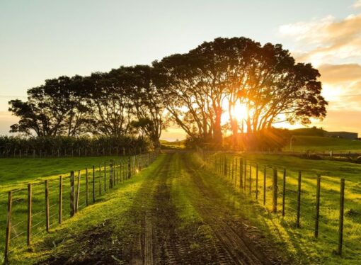 Country Virtues: What Non-Urban Life Can Teach Us