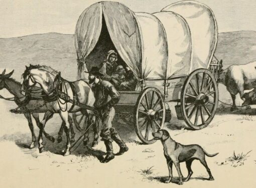 ‘Little House’ Libertarians and the Culture of Freedom